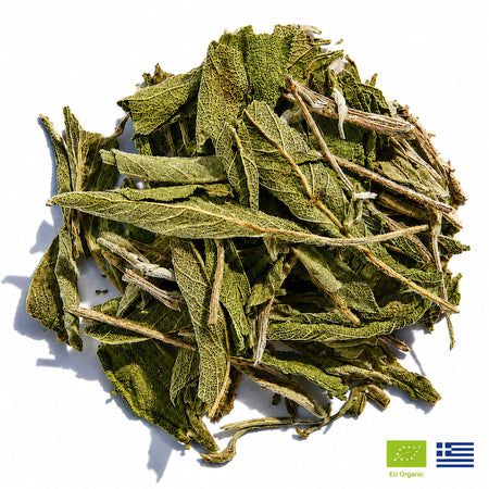 Greek Sage Tea (Ikaria Blue Zone) Herbal Tea