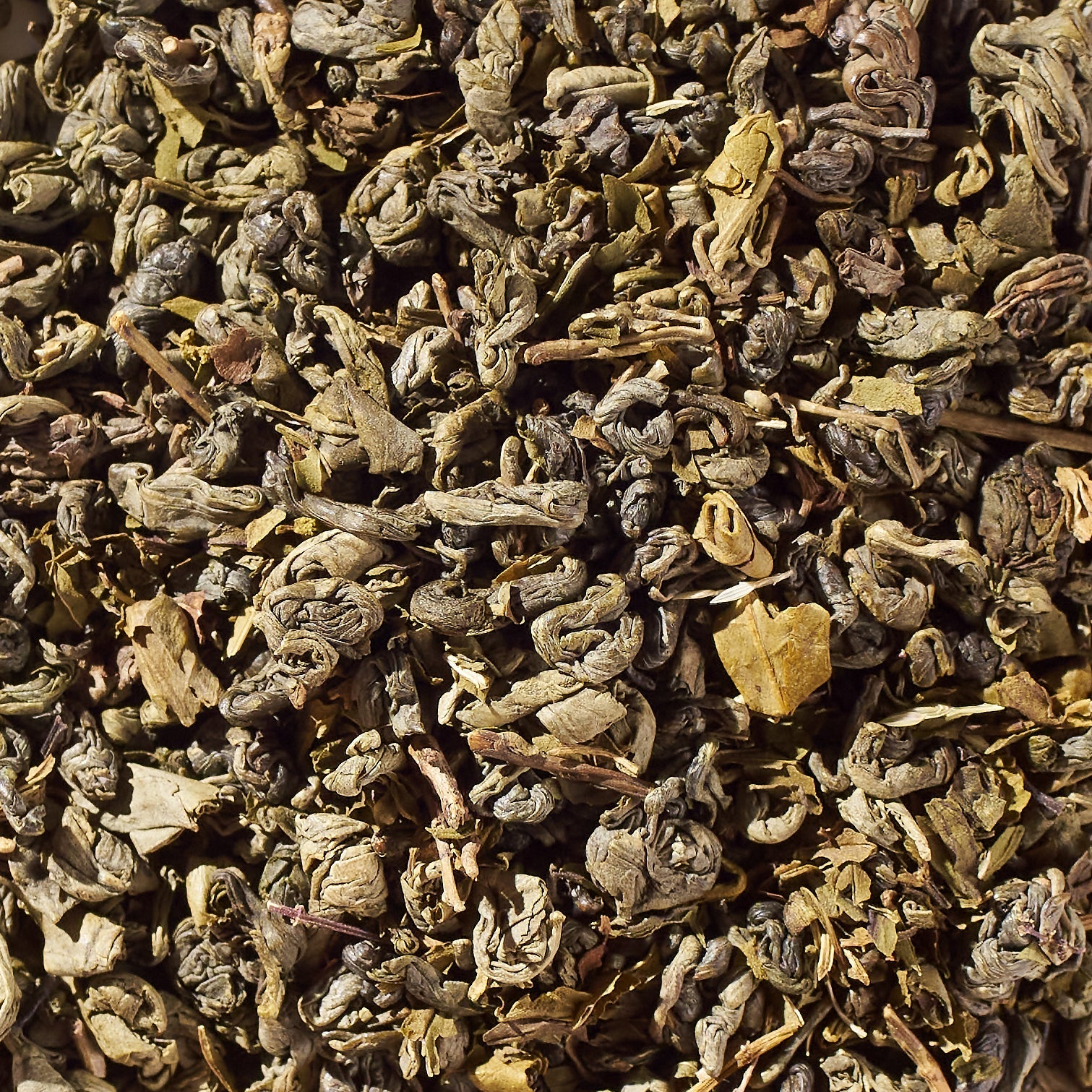 iLOLA Moroccan Mint No. 26 | Loose Leaf Green Tea Disc