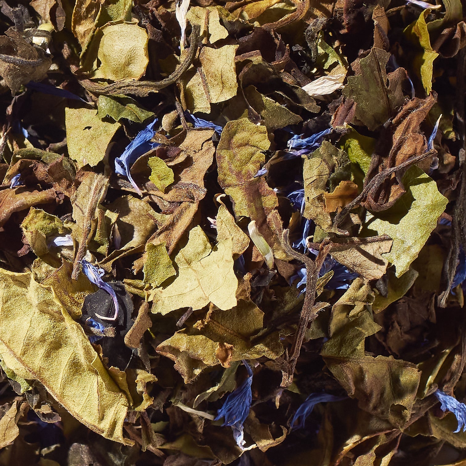 iLOLA Peony Blueberry No. 43 | Loose Leaf White Tea