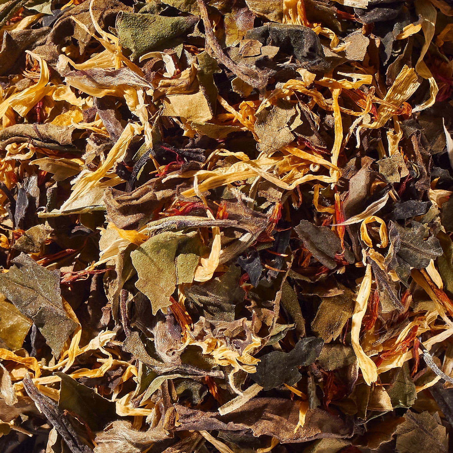 iLOLA Snow Maple No. 41 | Loose Leaf White Tea