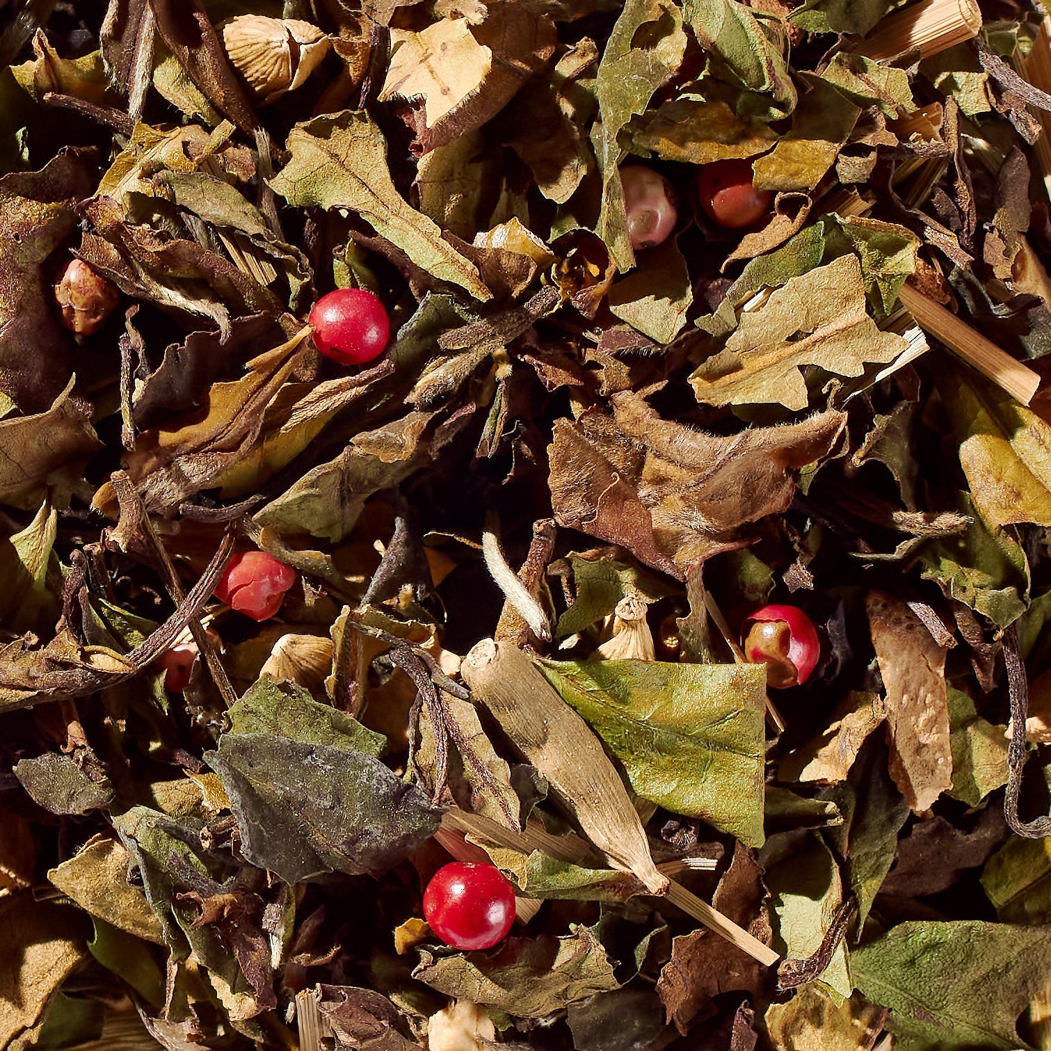 iLOLA Sweet Cinnamon Chai No. 40 – Spiced Probiotic White Tea Discs