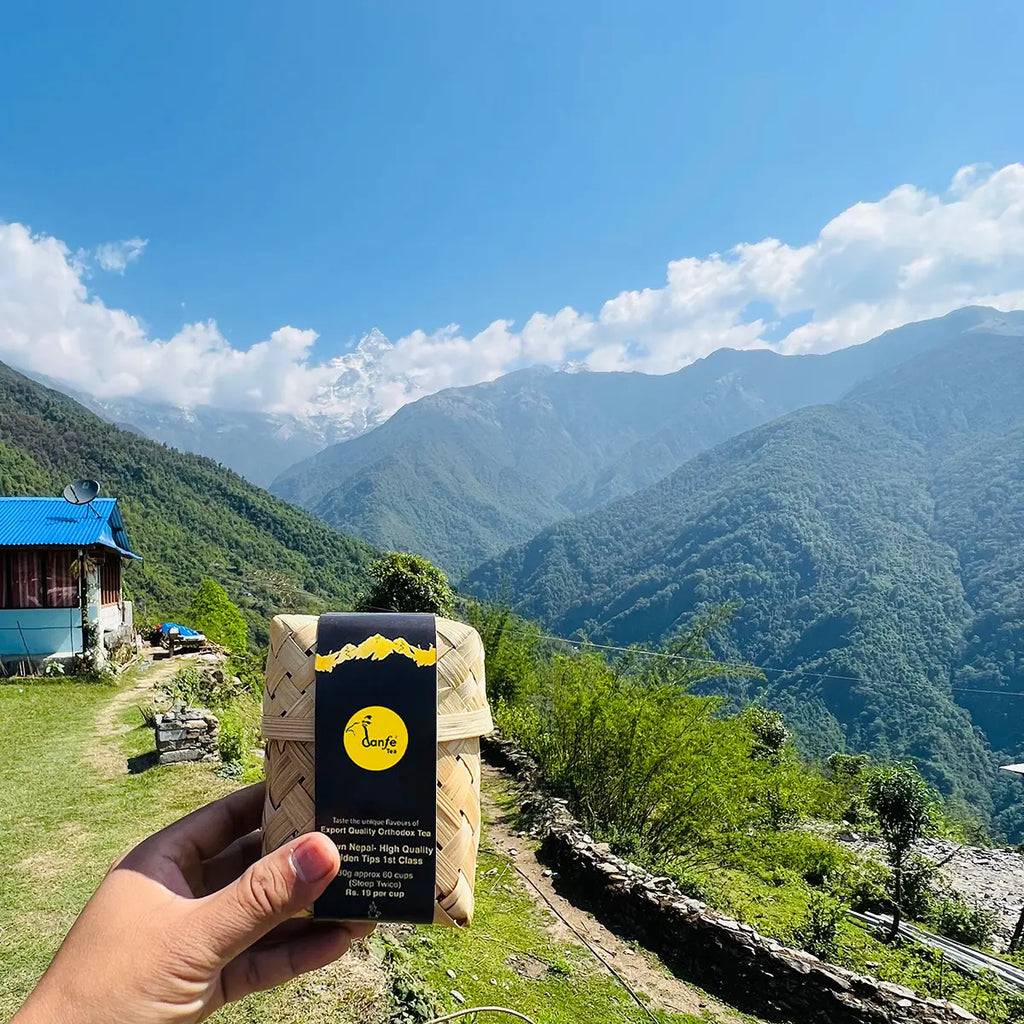 Danfe Himalayas Best White Tea
