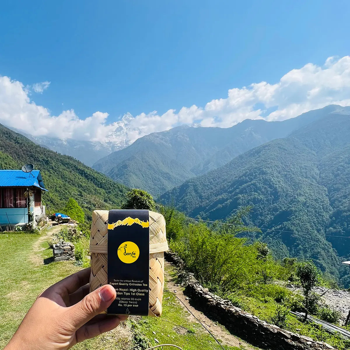 Danfe Himalayas Best White Tea