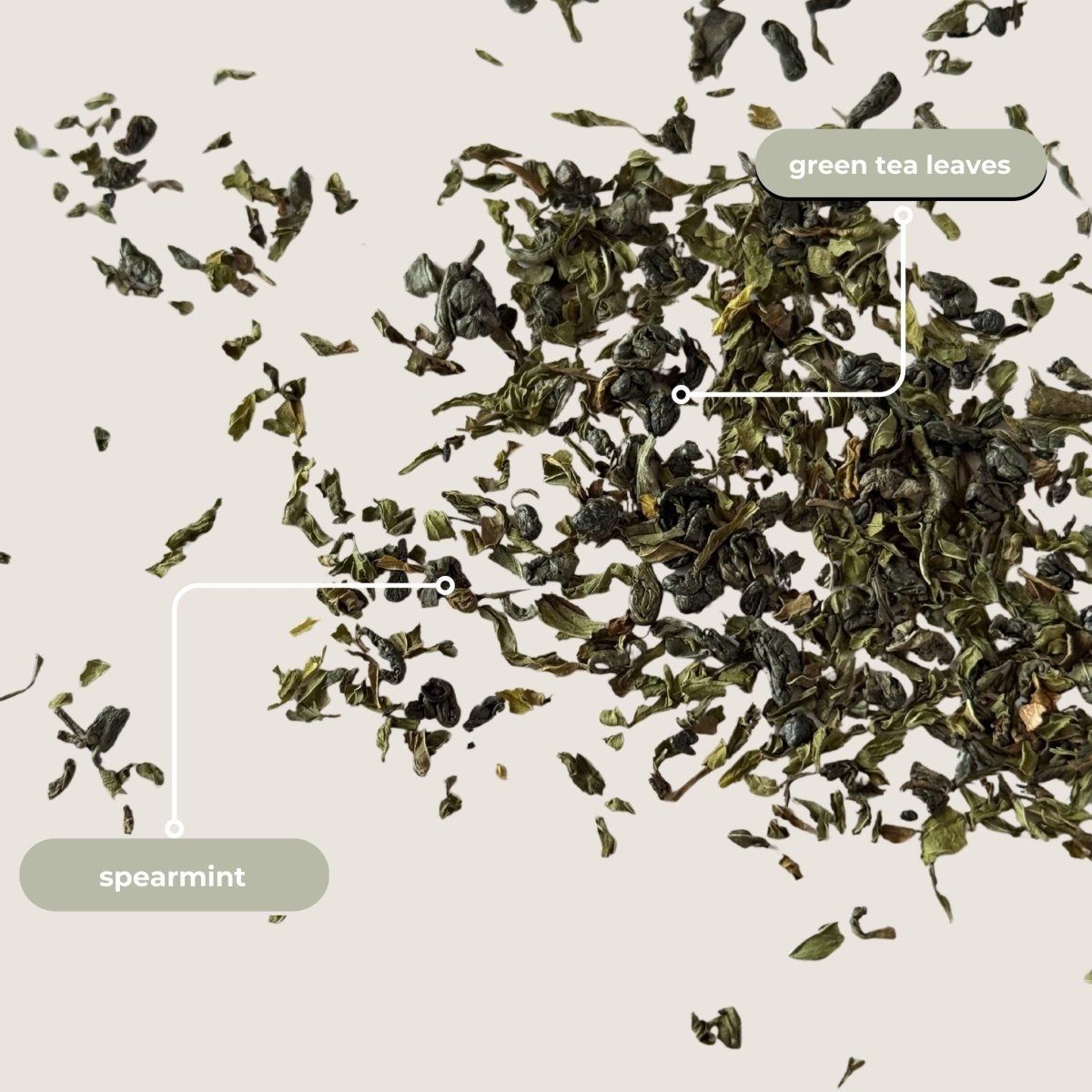 Tea with Tae Moroccan Mint Mini Tea Tube (5 tea bags) Green Tea