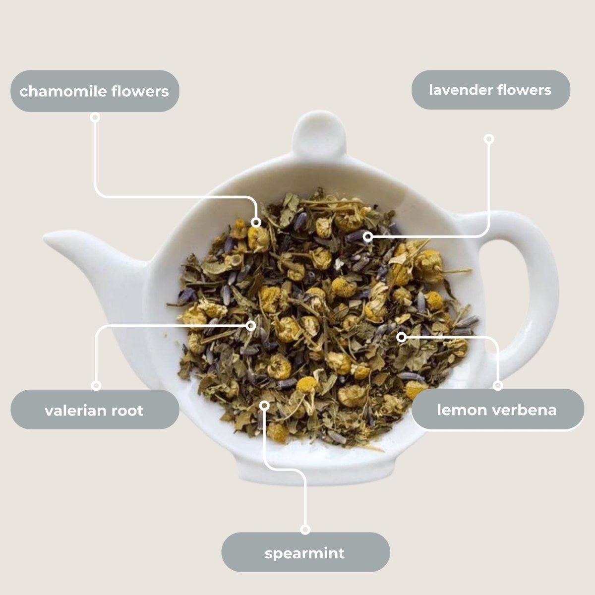 Tea with Tae Nighttime Routine Mini Tea Tube (5 tea bags) Herbal Tea