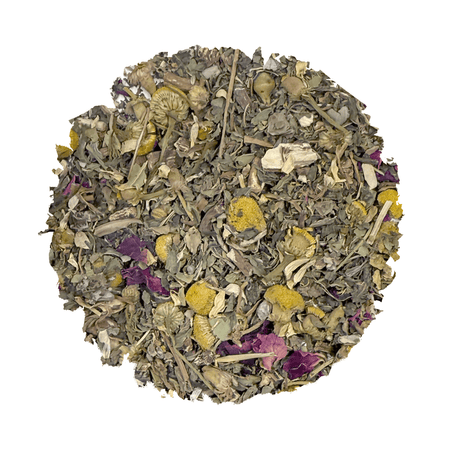 Nutritive Tea by Beach House, a blend of botanical ingredients in a tea cup, shown in a revitalizing setting.