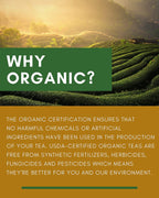 Gardenika Oolong Green Tea, Loose Leaf, USDA Organic, 55+ Cups – 4 Oz (113g)