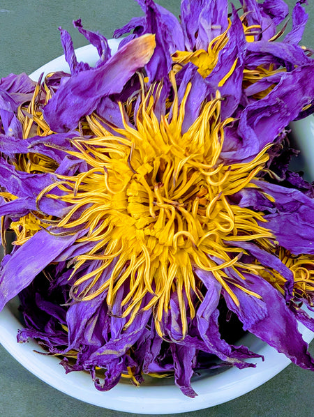 Zum Zum Blue Lotus Flower Herbal Tea