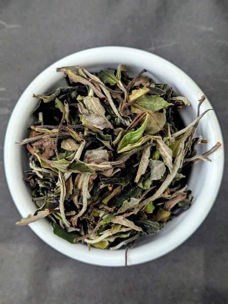 Zum Zum White Peony - Bai Mu Dan Tea