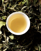 Zum Zum White Peony - Bai Mu Dan Tea