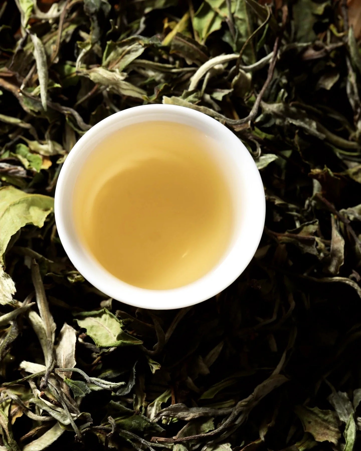 Zum Zum White Peony - Bai Mu Dan Tea