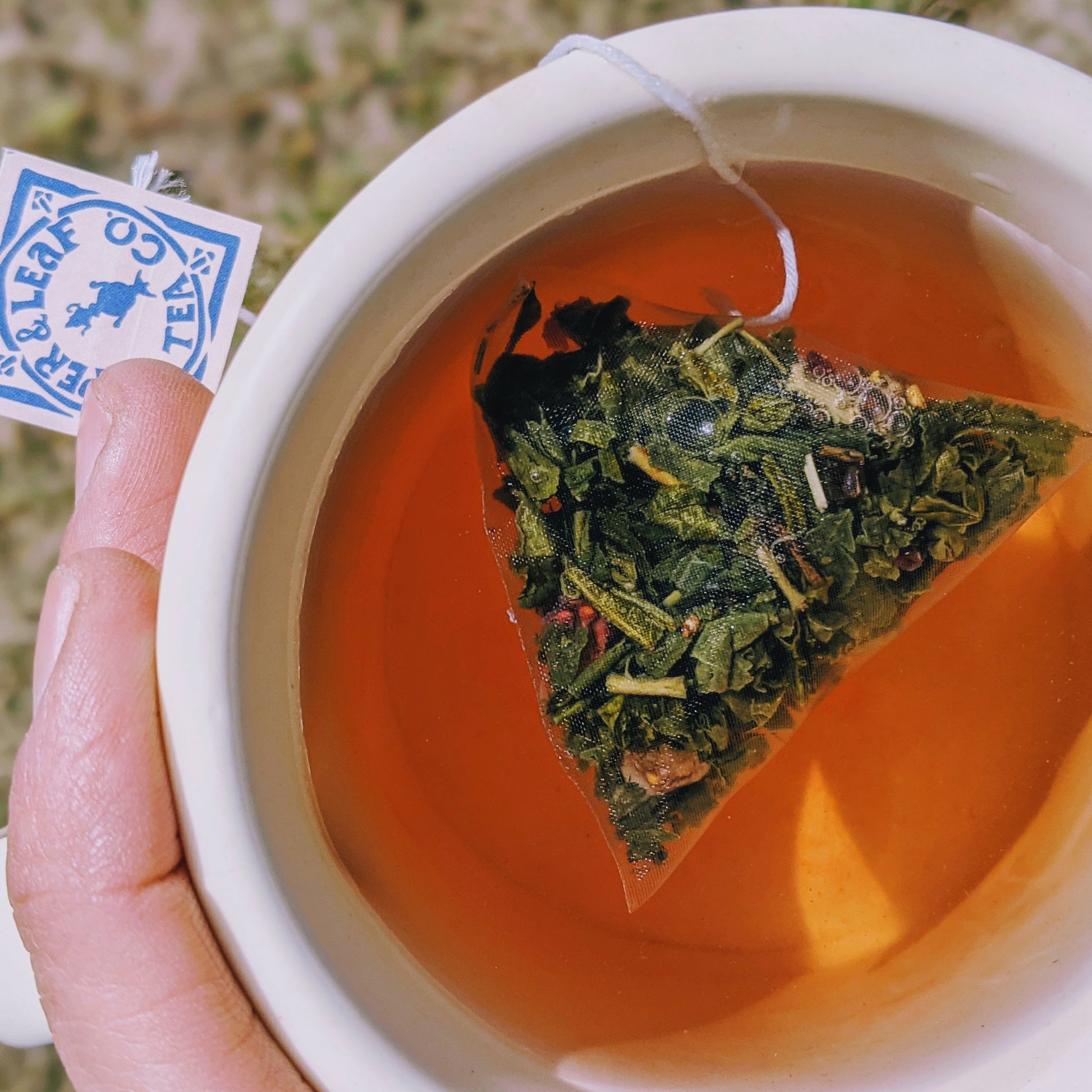 Piper and Leaf Sassyfras Strawberry 9ct Tea Bags in Muslin