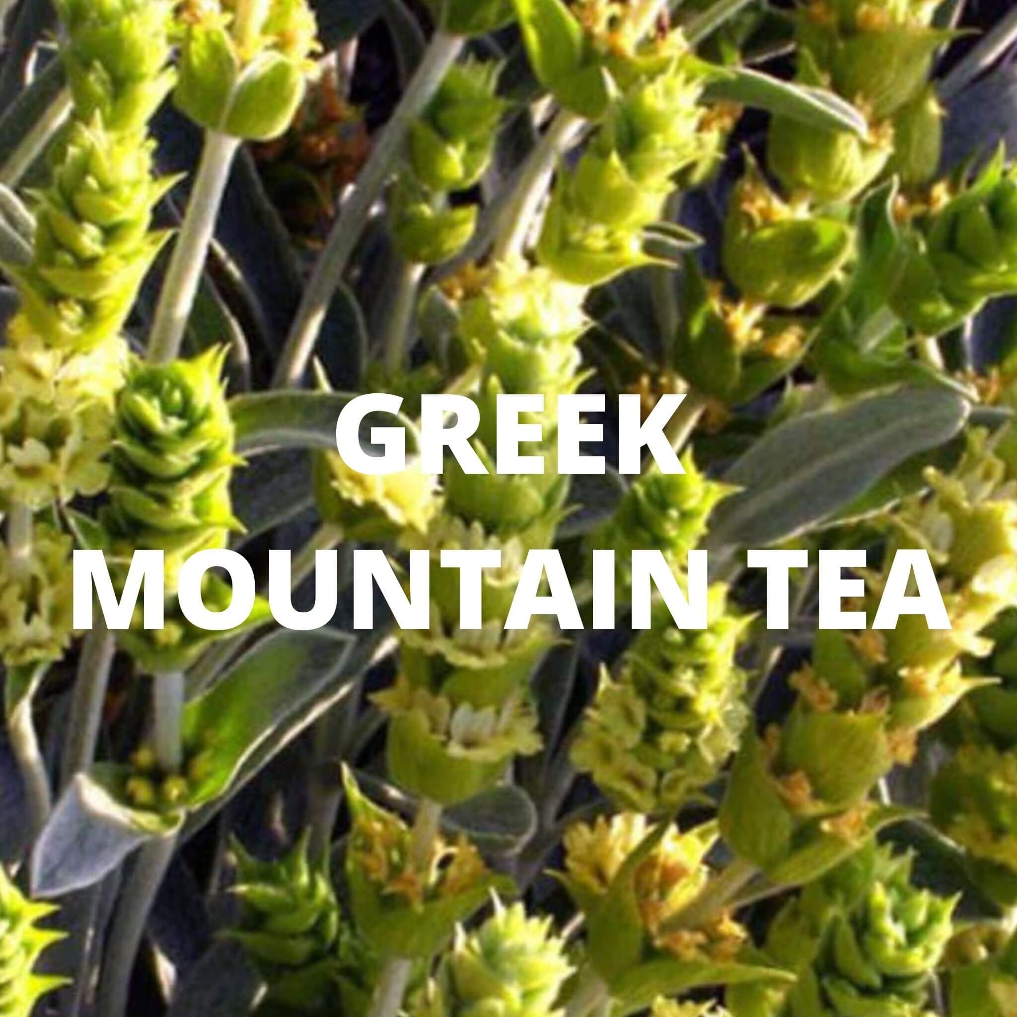 Greek Superherbs Ikaria Tea (Ikaria Blue Zone)