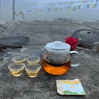 The Tea Explorer Set by Nepal Tea featuring assorted tea varieties in a visually appealing arrangement.