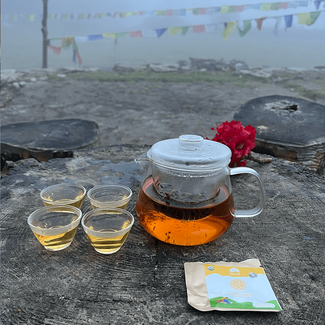 The Tea Explorer Set by Nepal Tea featuring assorted tea varieties in a visually appealing arrangement.