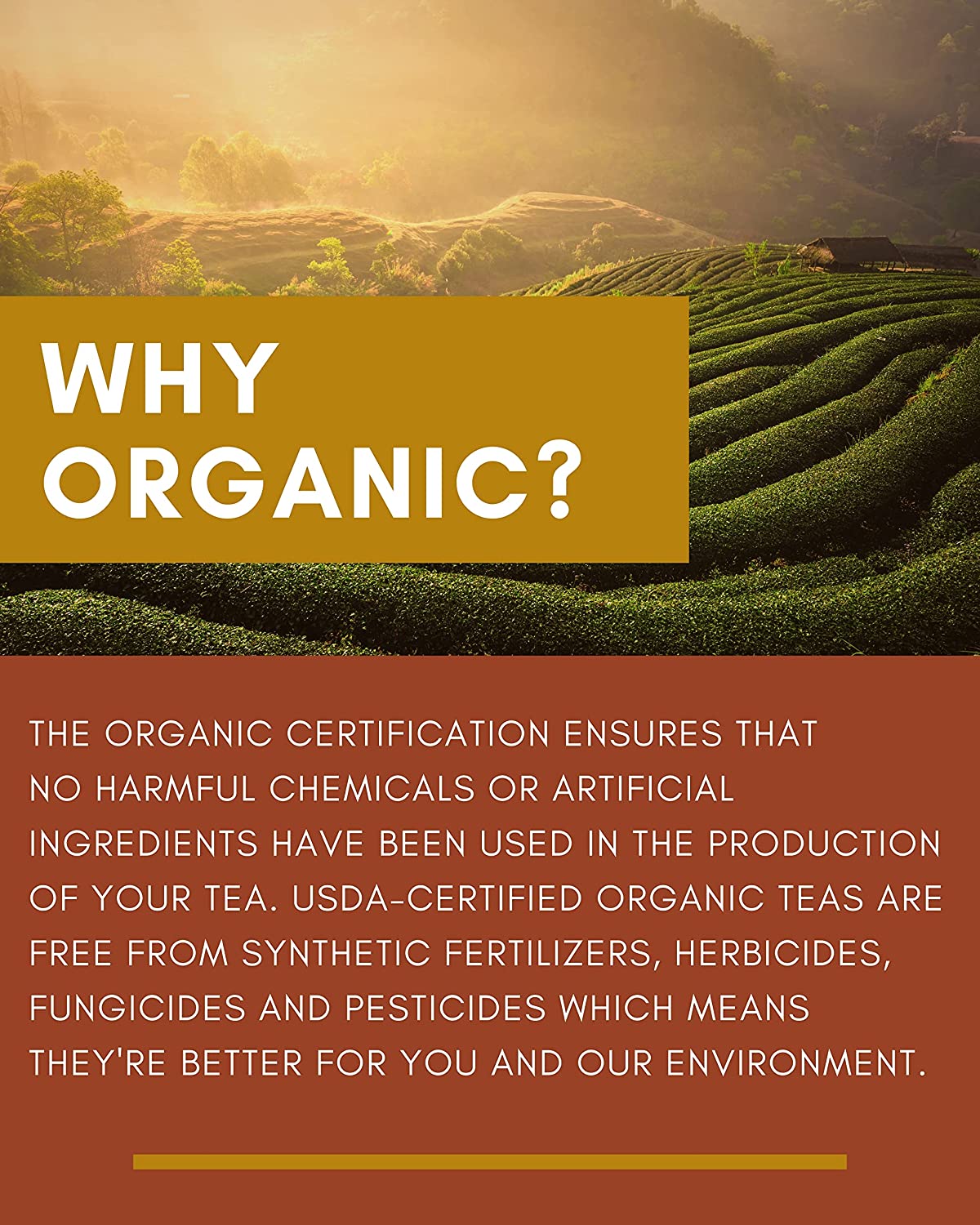 Gardenika Lemon Essence Black Loose Leaf Tea with Green Rooibos, USDA Organic, 55+ Cups – 4 Oz (113g)