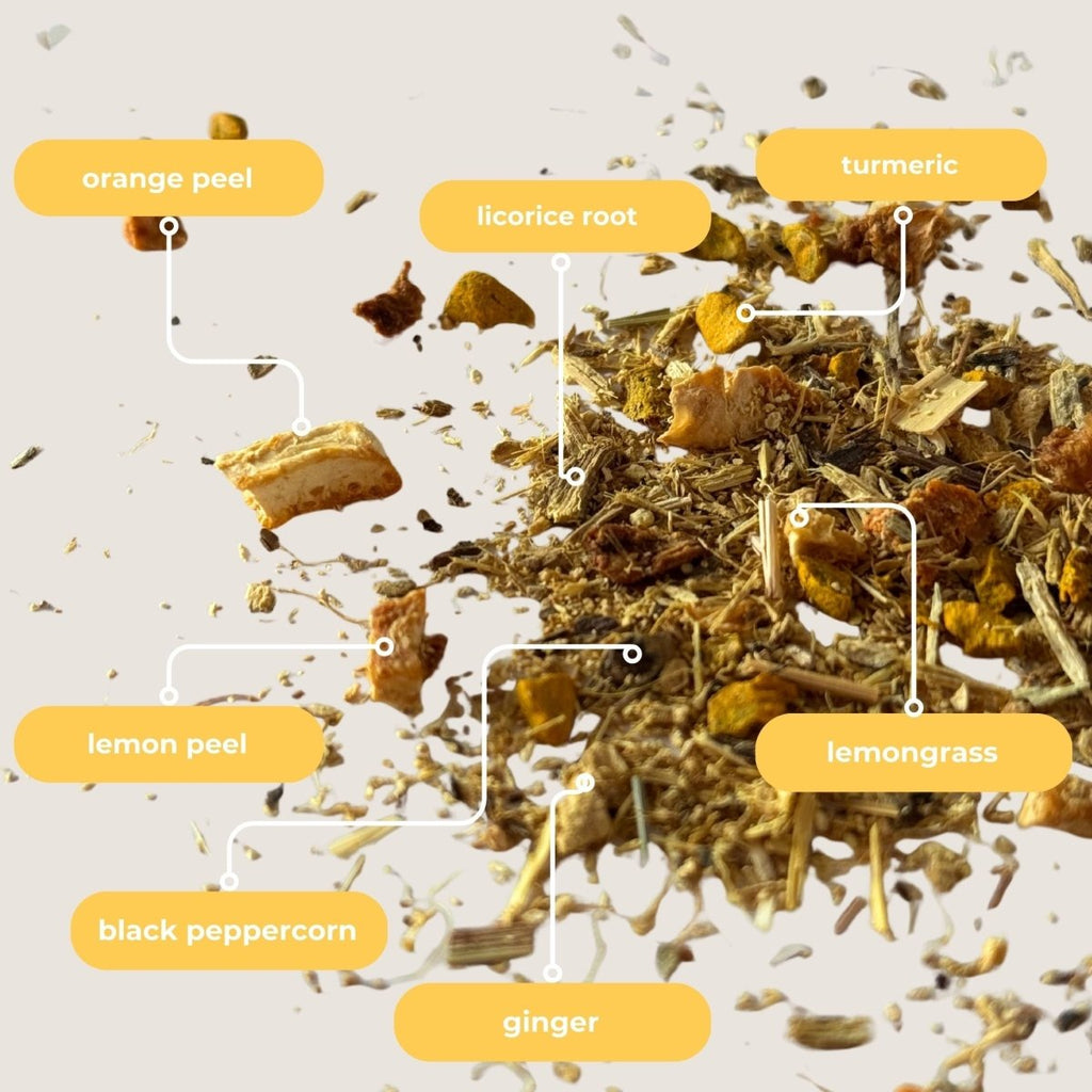 Tea with Tae Turmeric Ginger Mini Tea Tube (5 tea bags) Herbal Tea